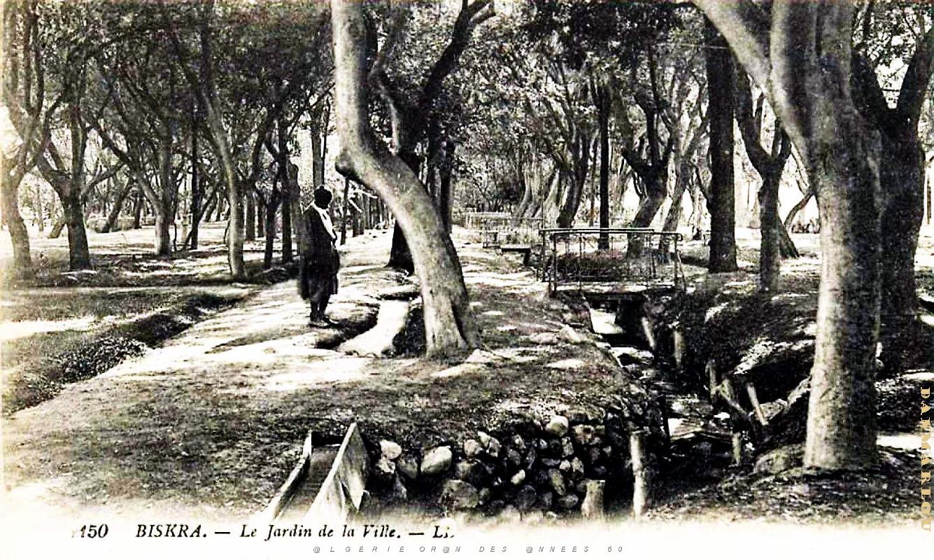 Biskra - Jardin de la Ville.jpg